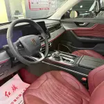 Hongqi Hongqi HS5 2023 из Китая