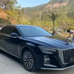 Hongqi Hongqi H5 2023 из Китая