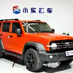 Tank Tank 300 2022 из Китая