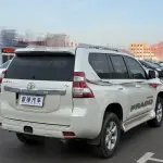 Toyota Prado (Import) 2010 из Китая