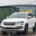 Skoda Karoq 2023 из Китая