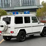 Mercedes-Benz G-Class 2019 из Китая