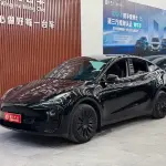 Tesla Model Y 2023 из Китая