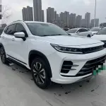 Exeed Zhaofeng C-DM 2023 из Китая