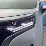 Denza Denza D9 2023 из Китая