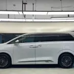 Denza Denza D9 2023 из Китая