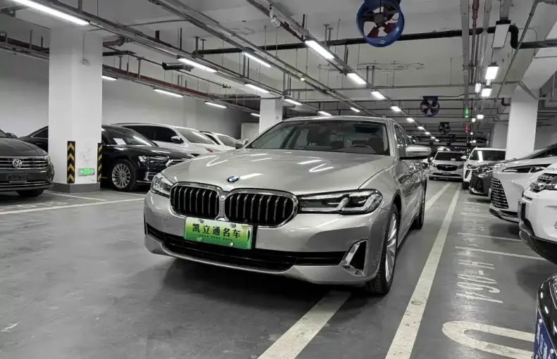 BMW 5 Series New Energy 2020 из Китая
