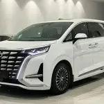Denza Denza D9 2023 из Китая