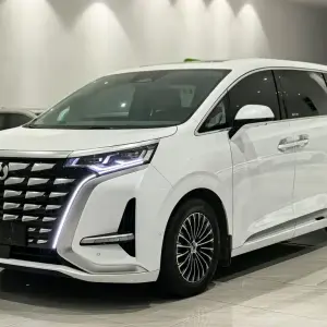 Denza Denza D9 2023 из Китая