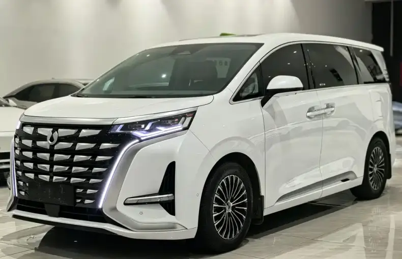 Denza Denza D9 2023 из Китая