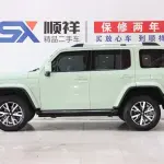 Tank Tank 300 2022 из Китая