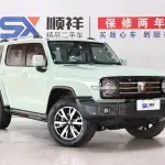 Tank Tank 300 2022 из Китая