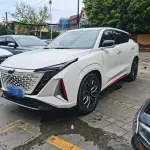 Oshan Oushang Z6 2024 из Китая