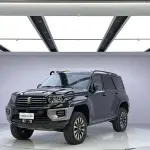 Tank Tank 700 New Energy 2024 из Китая