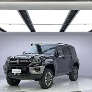 Tank Tank 700 New Energy 2024 из Китая