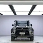 Tank Tank 700 New Energy 2024 из Китая