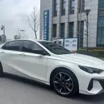 GAC Motor Shadow Leopard 2024 из Китая