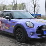 MINI Mini 2017 из Китая