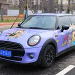 MINI Mini 2017 из Китая