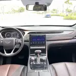 GAC Motor Trumpchi GS5 2019 из Китая