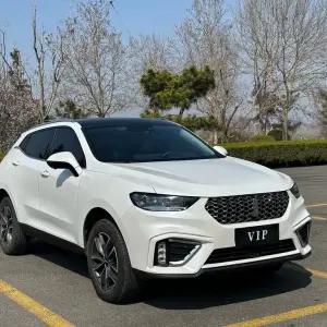 Wey Wey VV5 2021 из Китая