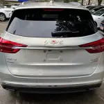 Hongqi Hongqi HS5 2020 из Китая
