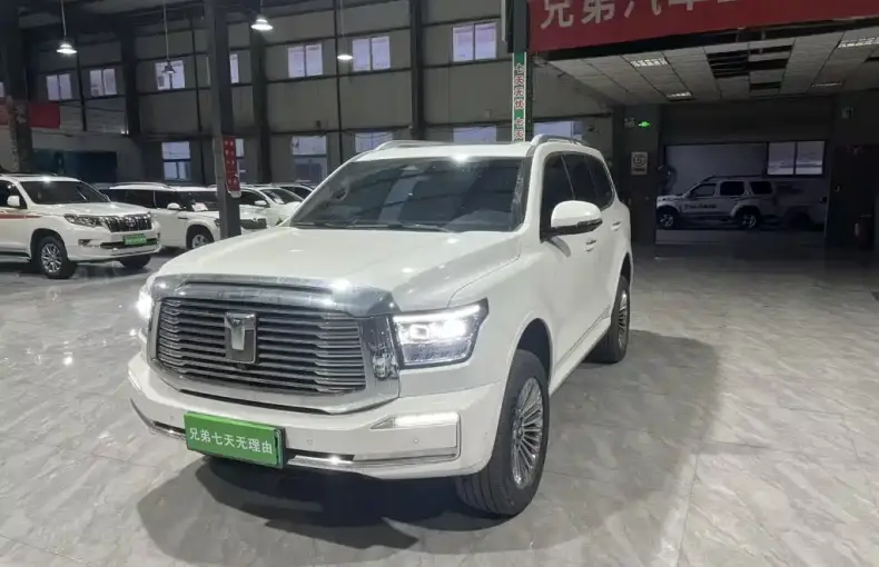 Tank Tank 500 New Energy 2024 из Китая