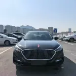 Hongqi Hongqi H5 2019 из Китая