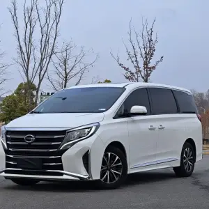 GAC Motor Trumpchi M8 2021 из Китая