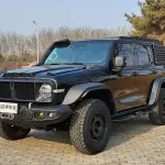 Tank Tank 300 2024 227 л.с. — лот 57650406 из Китая
