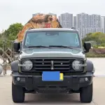 Tank Tank 300 2021 из Китая