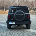 Tank Tank 300 2024 252 л.с. из Китая