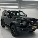 Tank Tank 300 2022 227 л.с. 227 л.с. 227 л.с. 227 л.с. из Китая