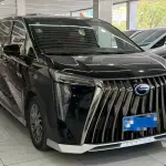 GAC Motor Trumpchi M8 2023 из Китая