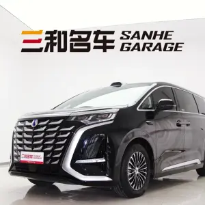 Denza Denza D9 2025 из Китая