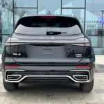 Hongqi Hongqi HS5 2024 из Китая