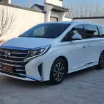 GAC Motor Trumpchi M8 2021 252 л.с. — лот 57660044 из Китая