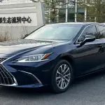 Lexus ES 2022 178 л.с. 178 л.с. 178 л.с. 178 л.с. из Китая