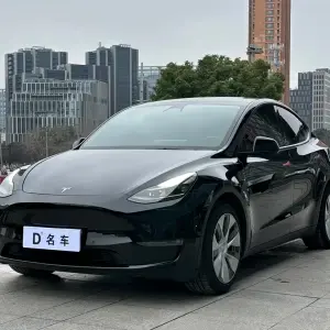 Tesla Model Y 2021 из Китая