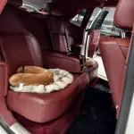 Rolls-Royce Ghost 2011 571 л.с. — лот 57718992 из Китая