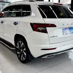 Skoda Karoq 2022 из Китая