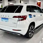 Skoda Karoq 2022 из Китая