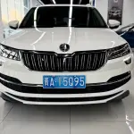 Skoda Karoq 2022 из Китая