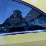 Volkswagen Beetle 2014 из Китая