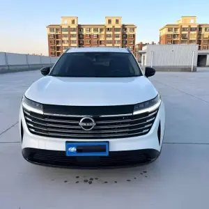Nissan Teramont 2024 252 л.с. из Китая