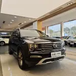 GAC Motor Trumpchi GS8 2017 201 л.с. 201 л.с. из Китая