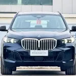 BMW X5 из Китая
