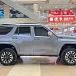 Tank Tank 700 New Energy 2025 из Китая