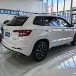 Skoda Karoq 2022 из Китая