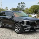 GAC Motor Trumpchi GS8 2023 252 л.с. 252 л.с. 252 л.с. из Китая